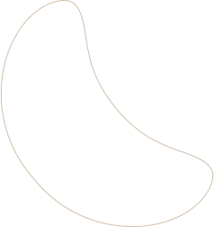 layout-slider3-01
